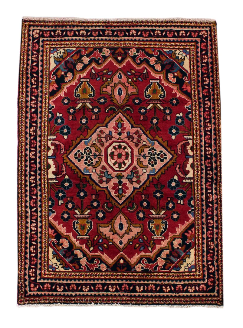Hamadan Persian Rug