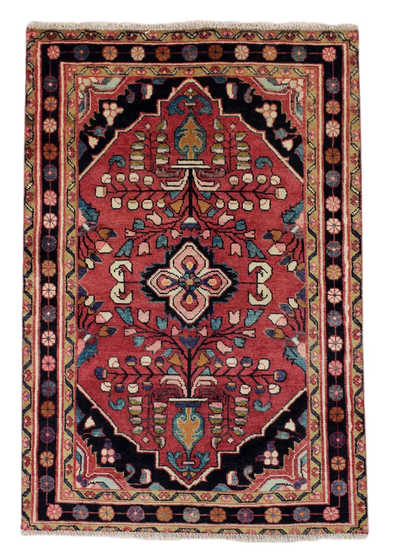 Hamadan Persian Rug