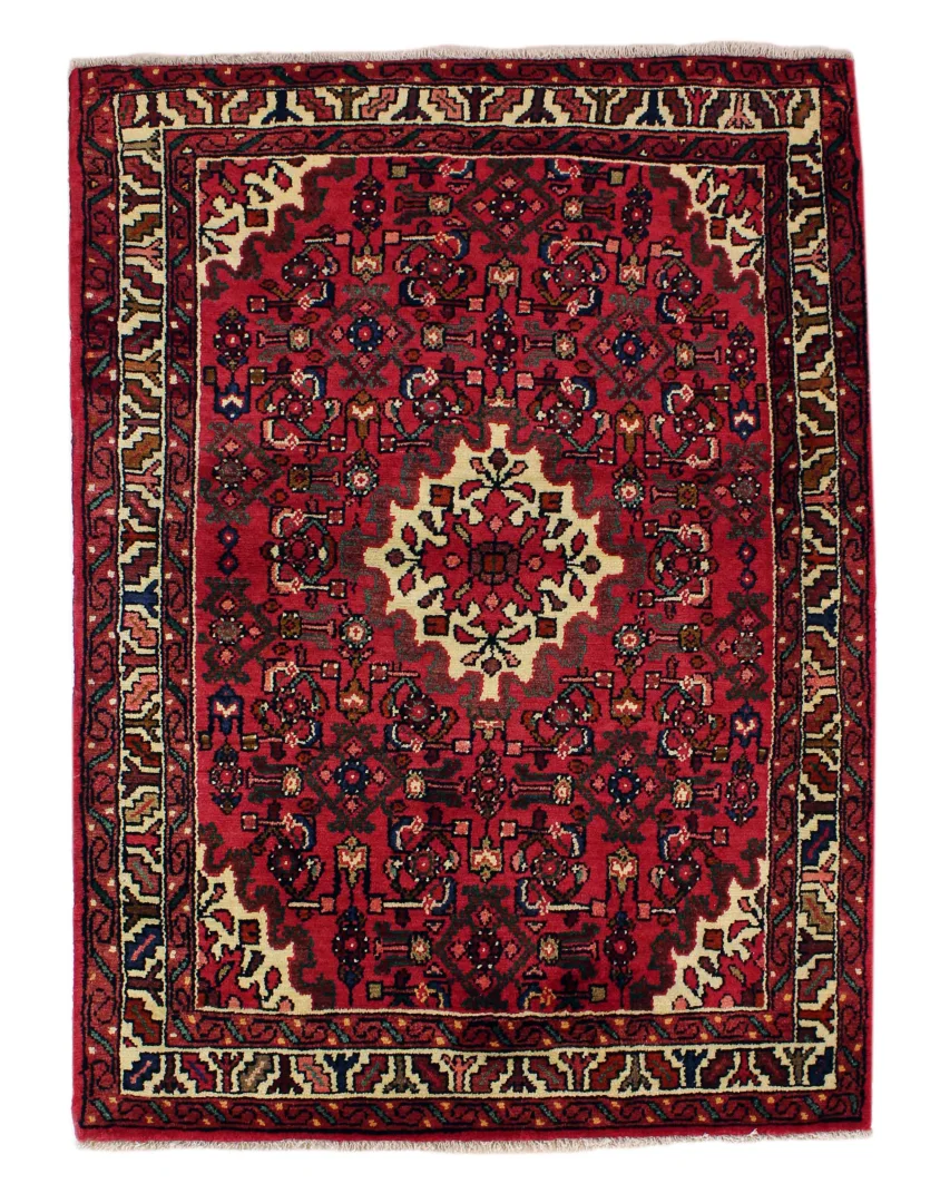 Hamadan Persian Rug