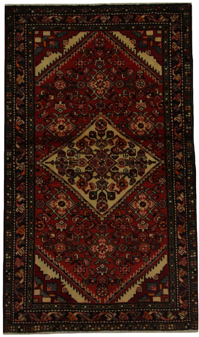 Hamadan Persian Rug