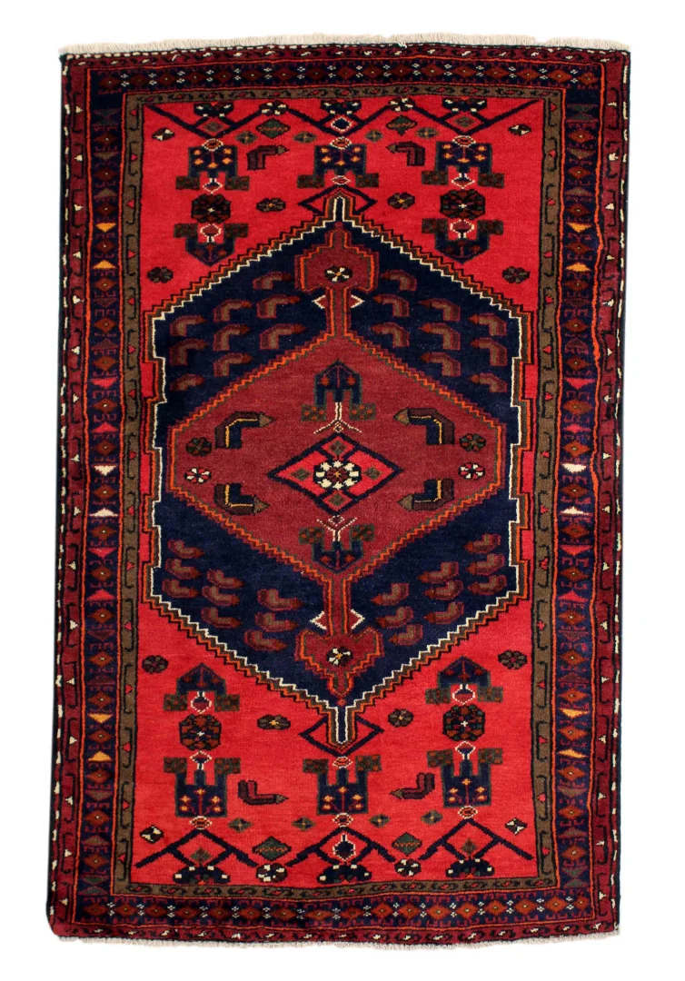 Hamadan Persian Rug