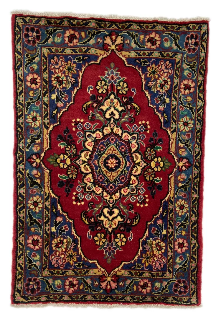 Hamadan Persian Rug