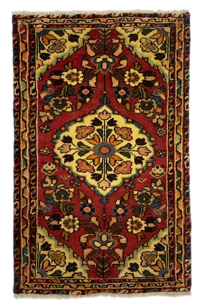 Hand-Knotted Hamadan Persian Rug, Wool
