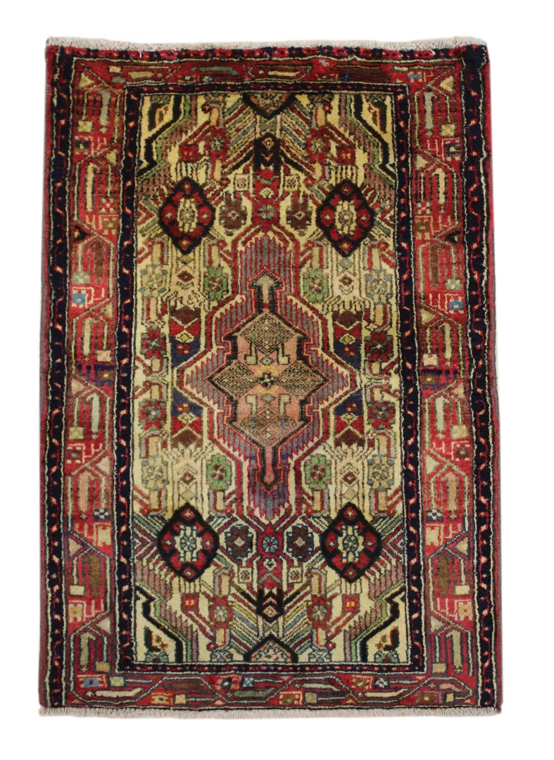 Hand-Knotted Hamadan Persian Rug, 110 × 75 cm, Wool