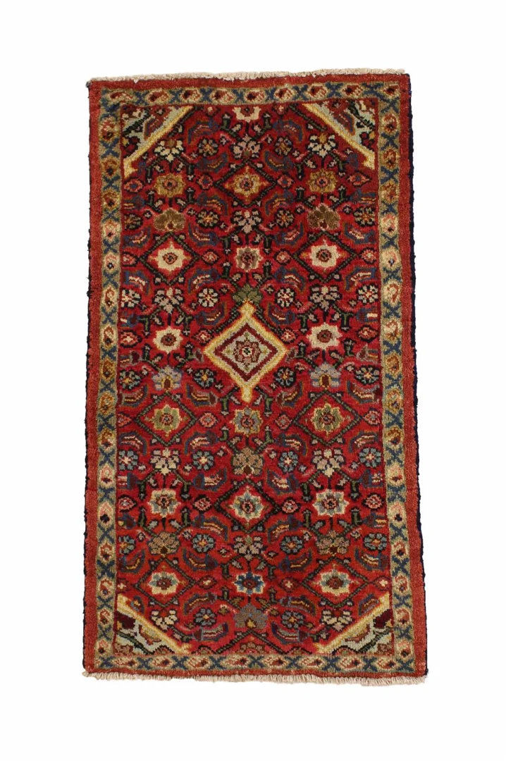 Hamadan Persian Rug