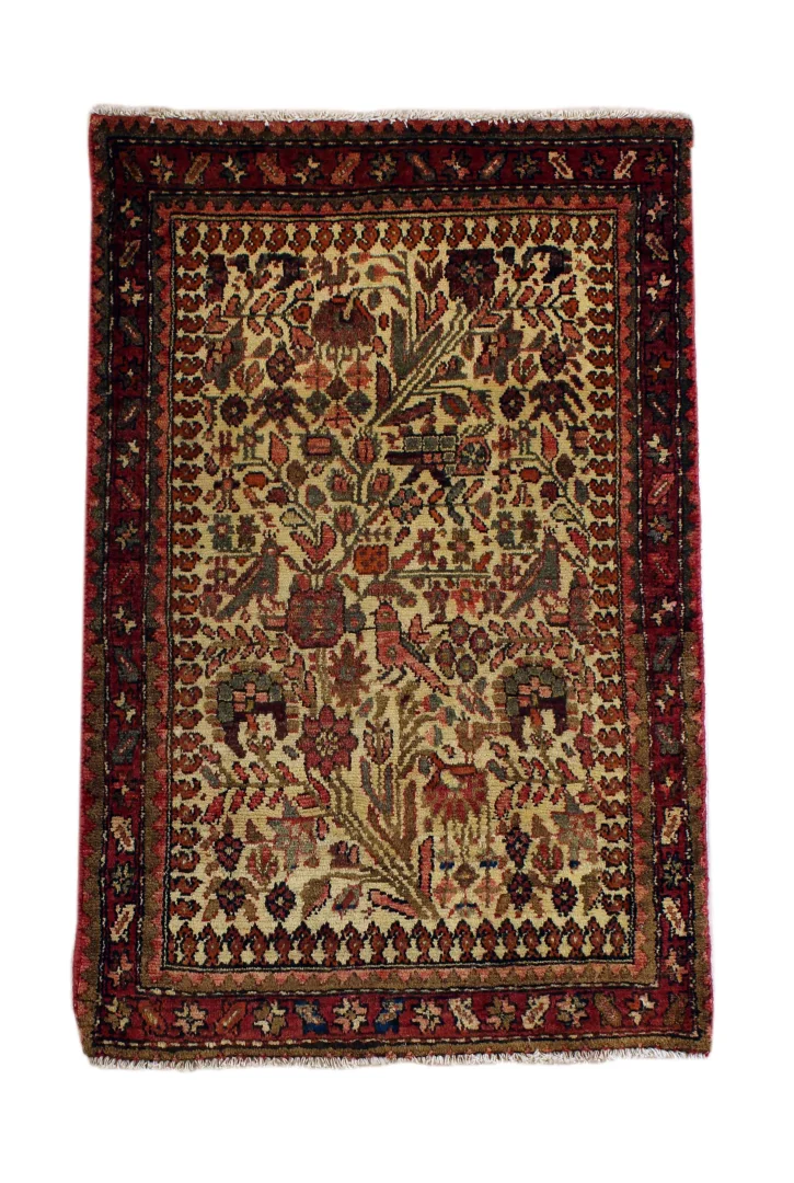 Hand-Knotted Hamadan Persian Rug, Wool