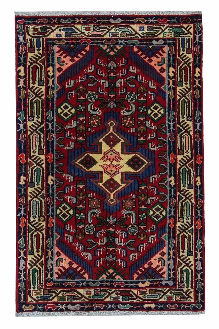Hamadan Persian Rug
