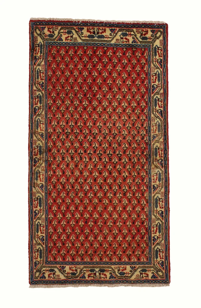 Hamadan Persian Rug