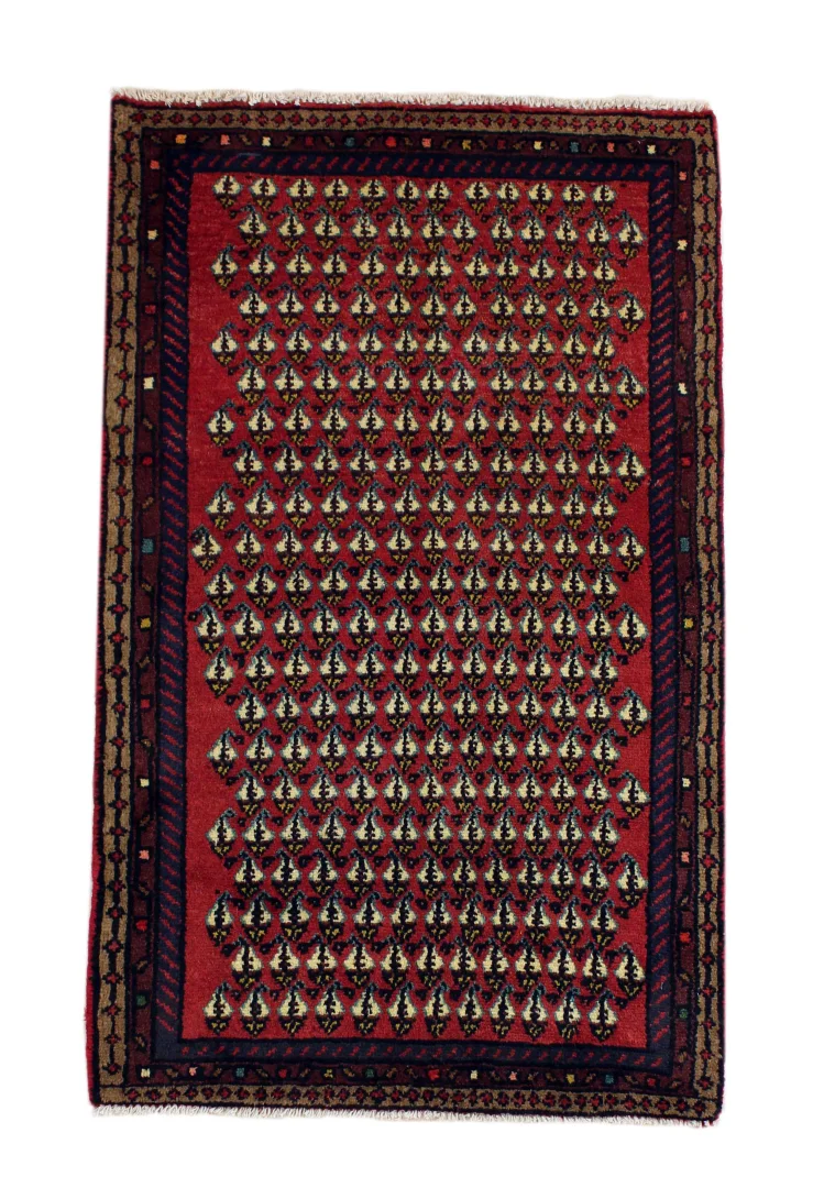 Hamadan Persian Rug