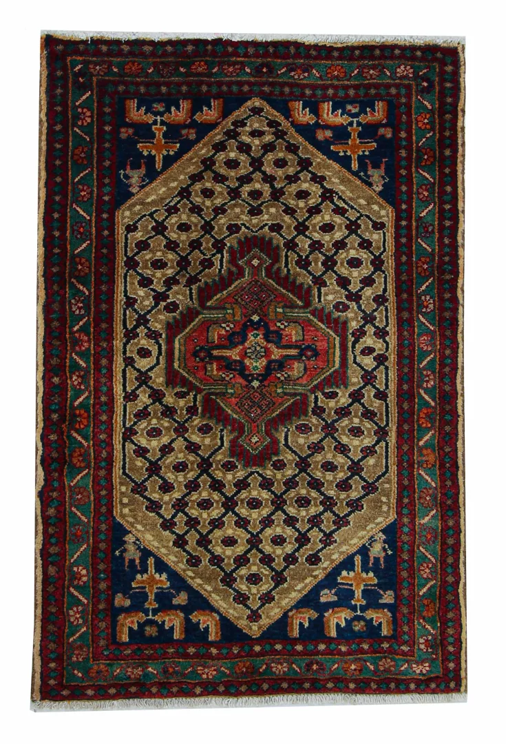 Hand-Knotted Hamadan Persian Rug, Wool
