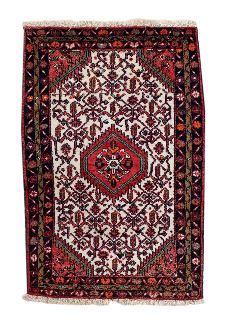 Hamadan Persian Rug