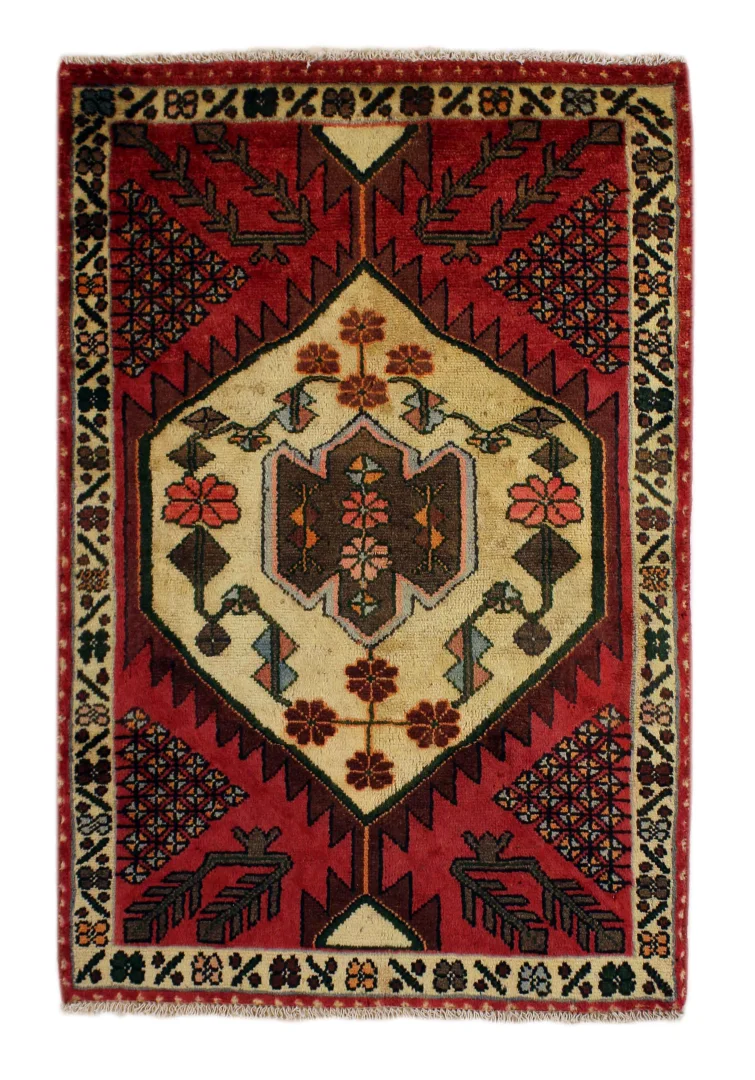 Hand-Knotted Hamadan Persian Rug, Wool