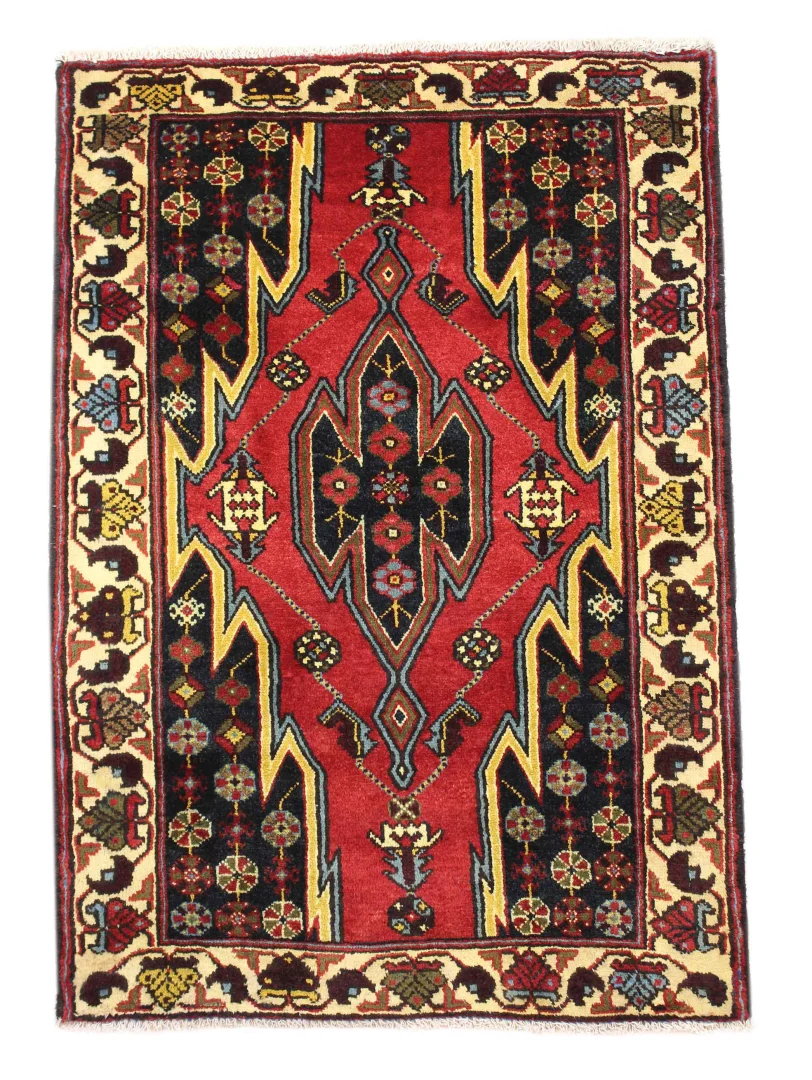 Hamadan Persian Rug