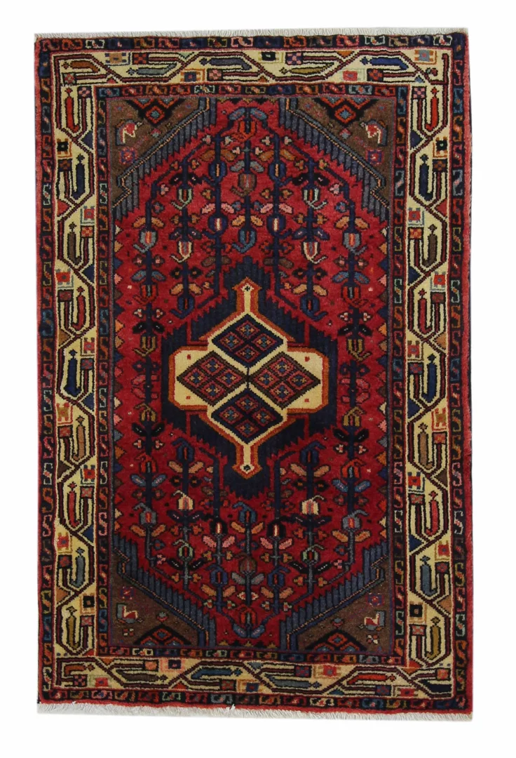 Hand-Knotted Hamadan Persian Rug, Wool