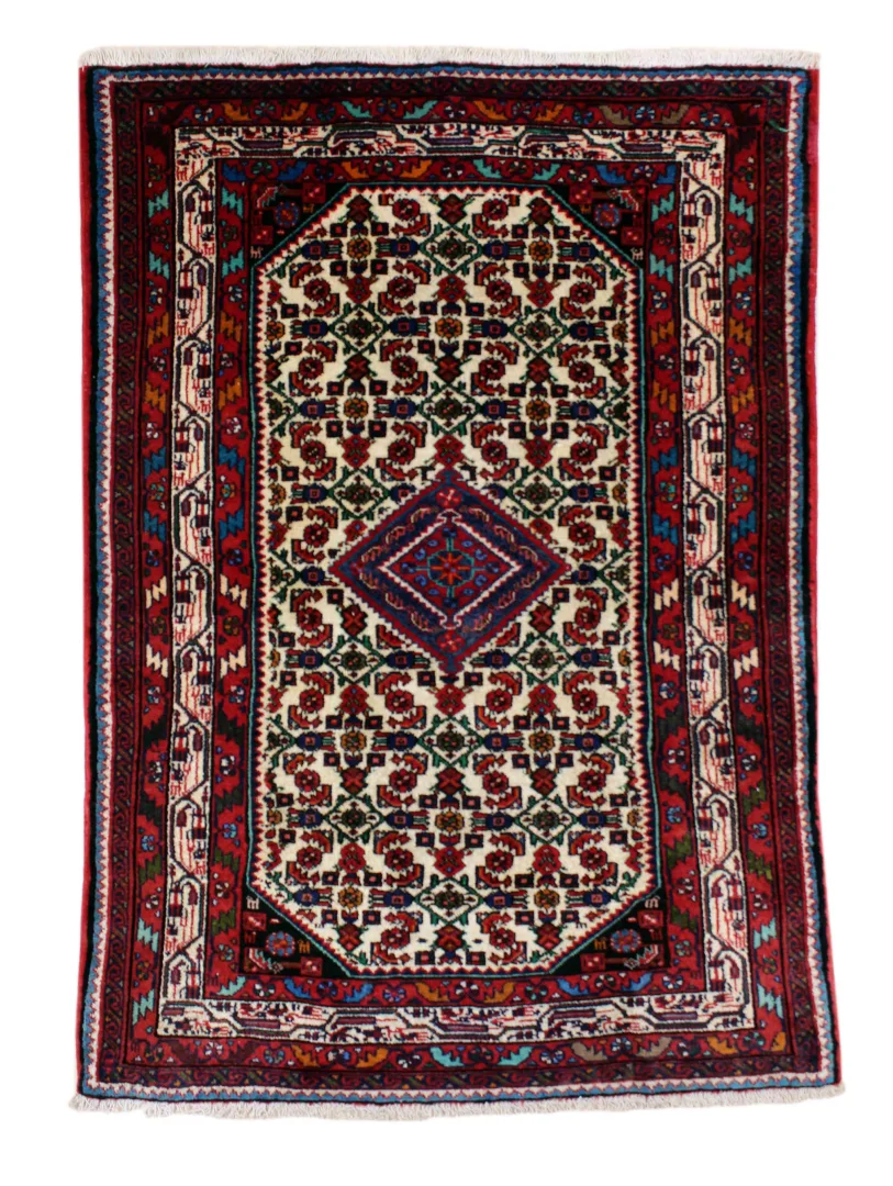 Hamadan Persian Rug