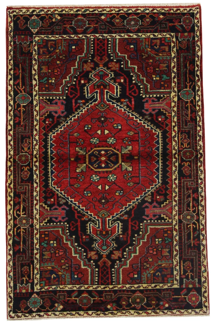 Hamadan Persian Rug
