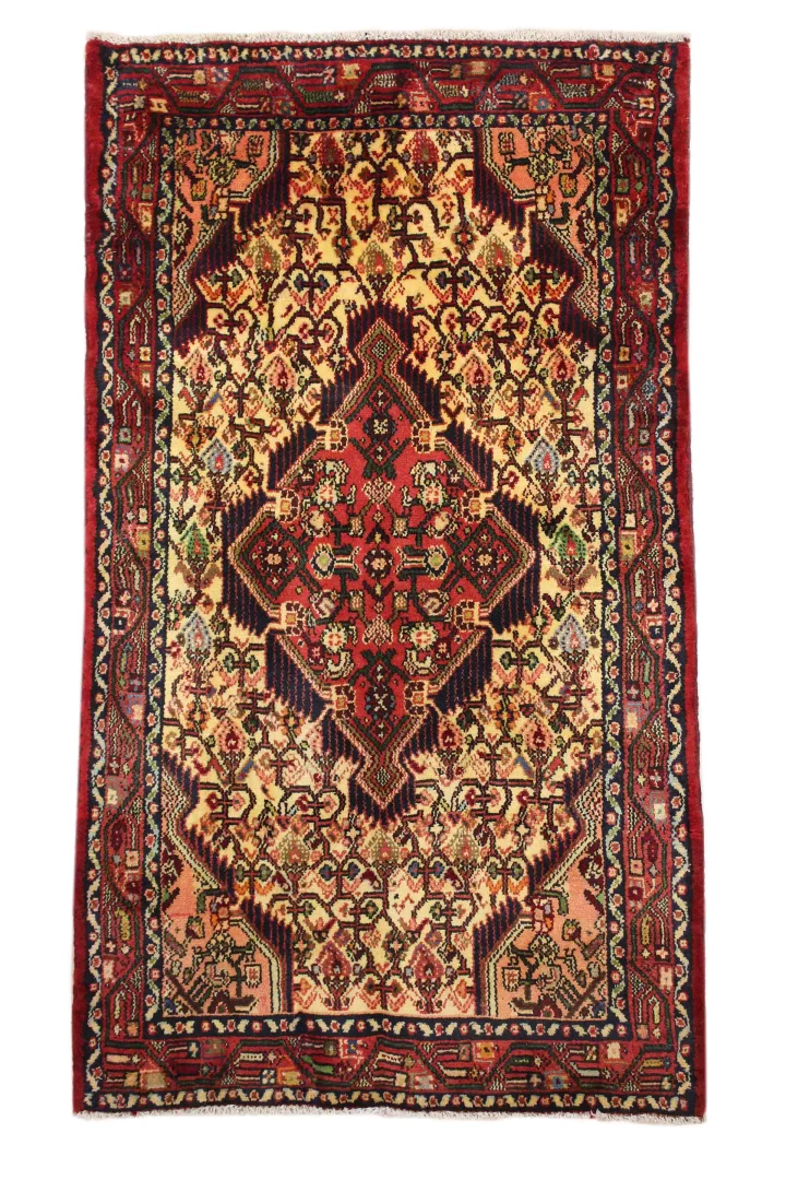 Hand-Knotted Hamadan Persian Rug, Wool