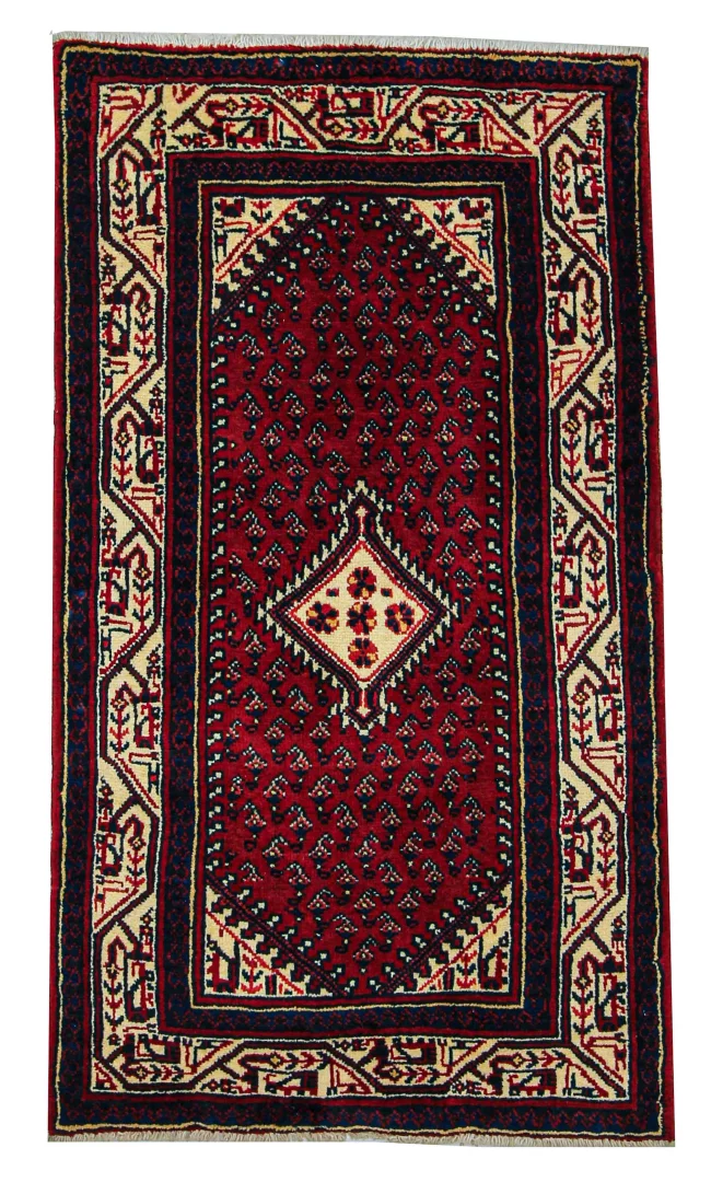 Hamadan Persian Rug