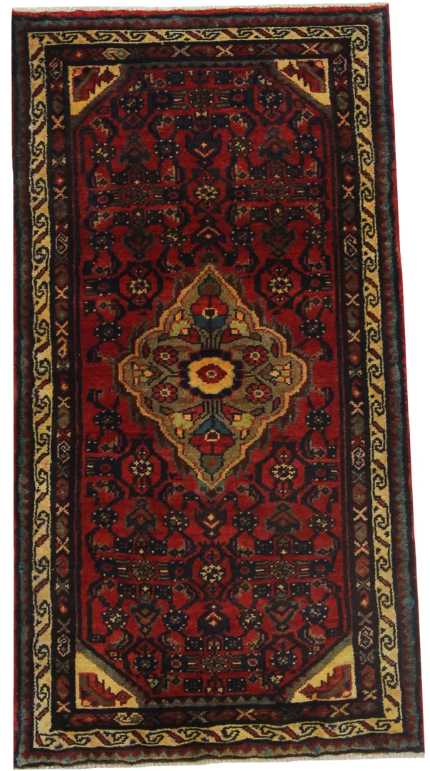 Hamadan Persian Rug