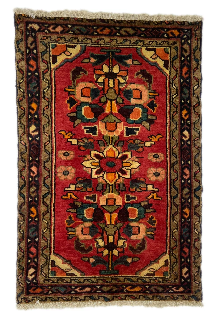 Hamadan Persian Rug