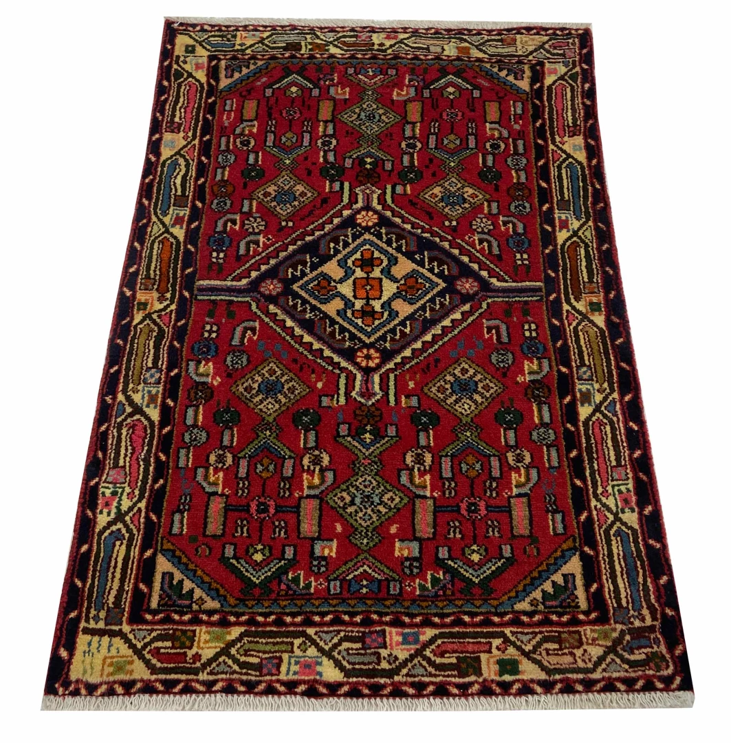 Alternative view of Hamadan Persian Rug