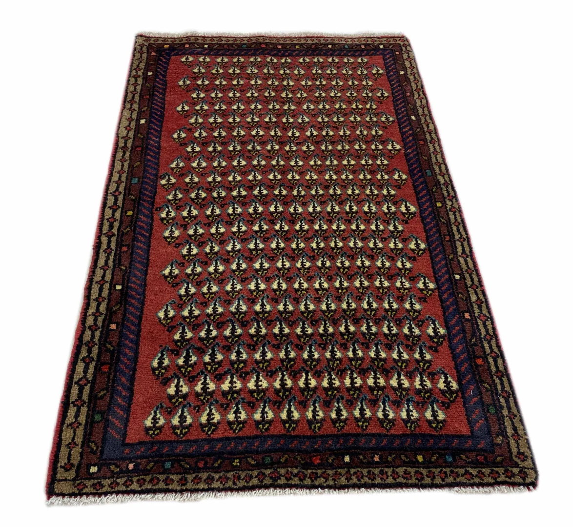Alternative view of Hamadan Persian Rug