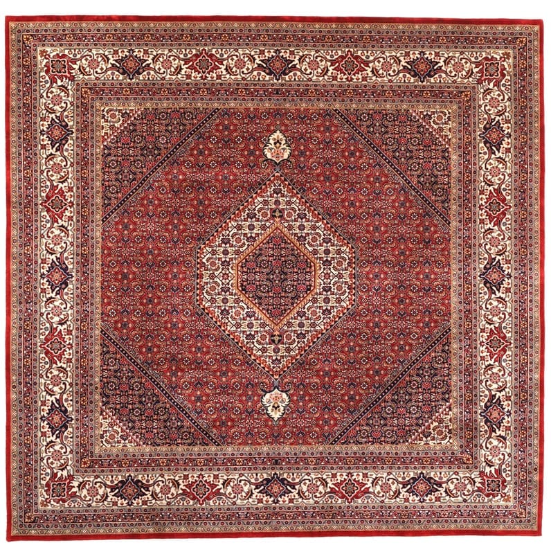 Wool Bijar Indian Rug 246 × 252 cm, hand-knotted