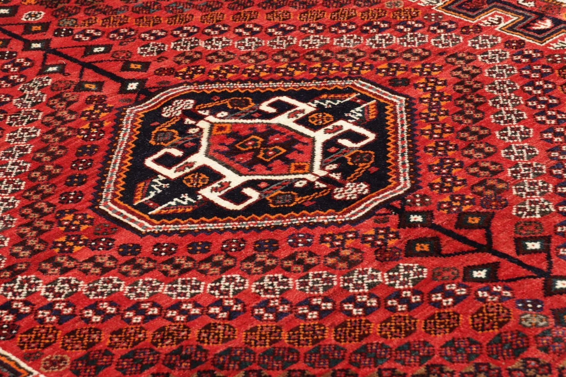 Hand-Knotted Qashqai Persian Rug, 173 × 254 cm, Wool - Image 8