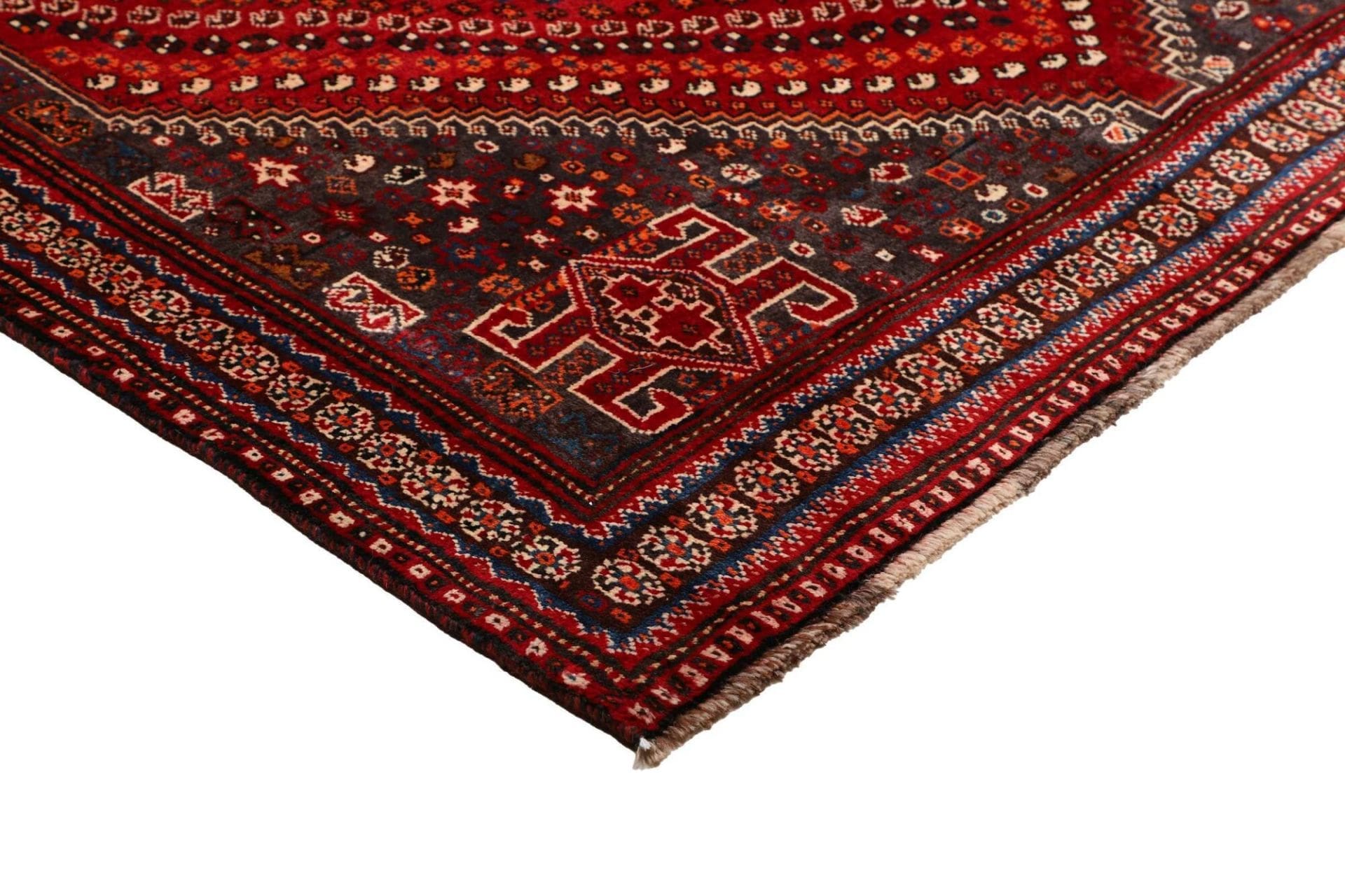 Shiraz Persian Rug 173 × 249 cm in Wool, hand-knotted - Image 5