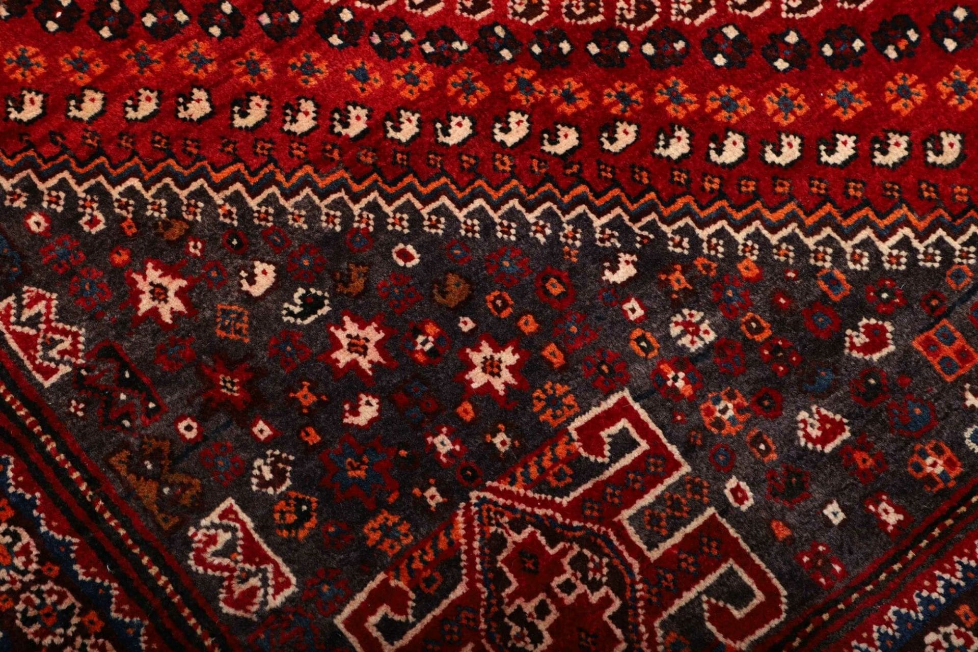 Shiraz Persian Rug 173 × 249 cm in Wool, hand-knotted - Image 6