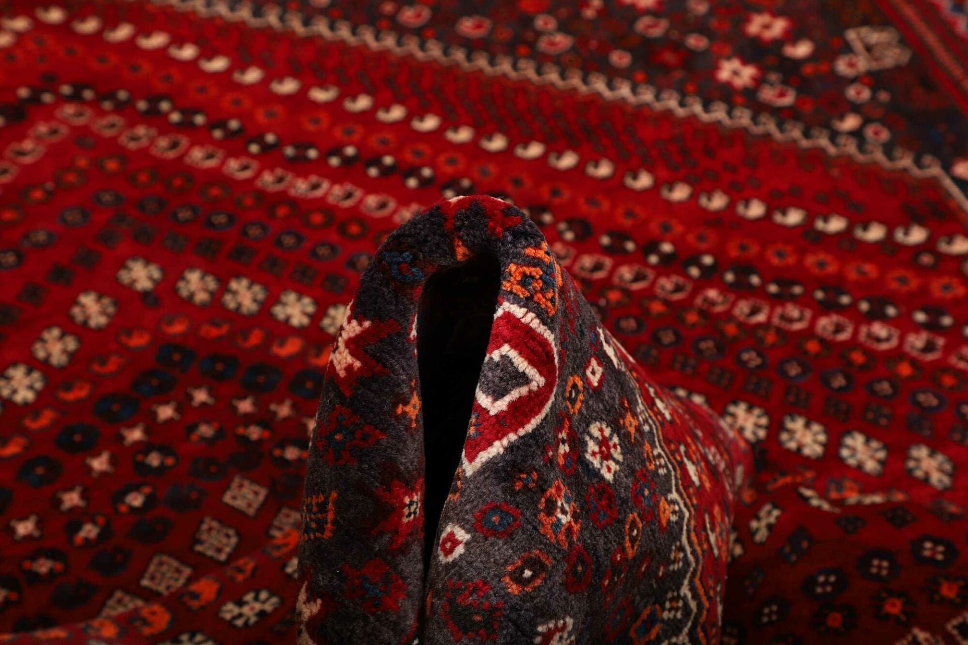 Shiraz Persian Rug 173 × 249 cm in Wool, hand-knotted - Image 9