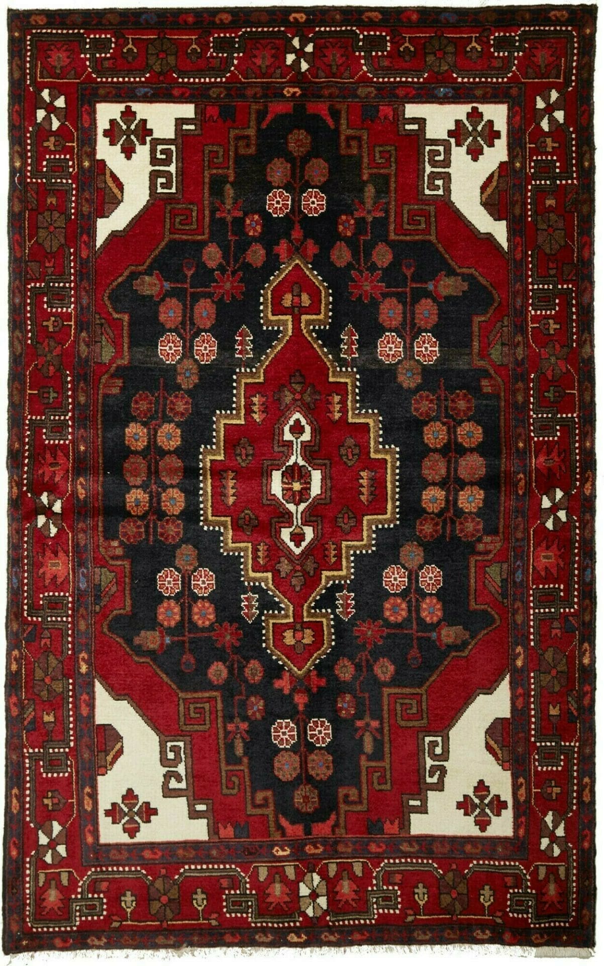 Hamadan Persian Rug 144 × 224 cm in Wool, hand-knotted