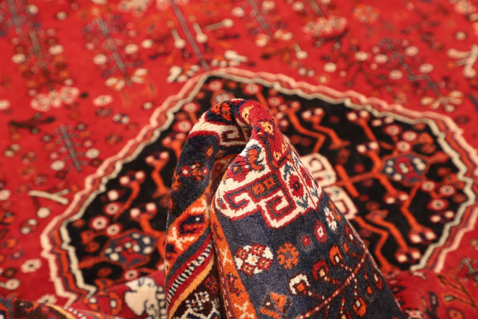 Hand-Knotted Shiraz Persian Rug, 163 × 260 cm, Wool - Image 9