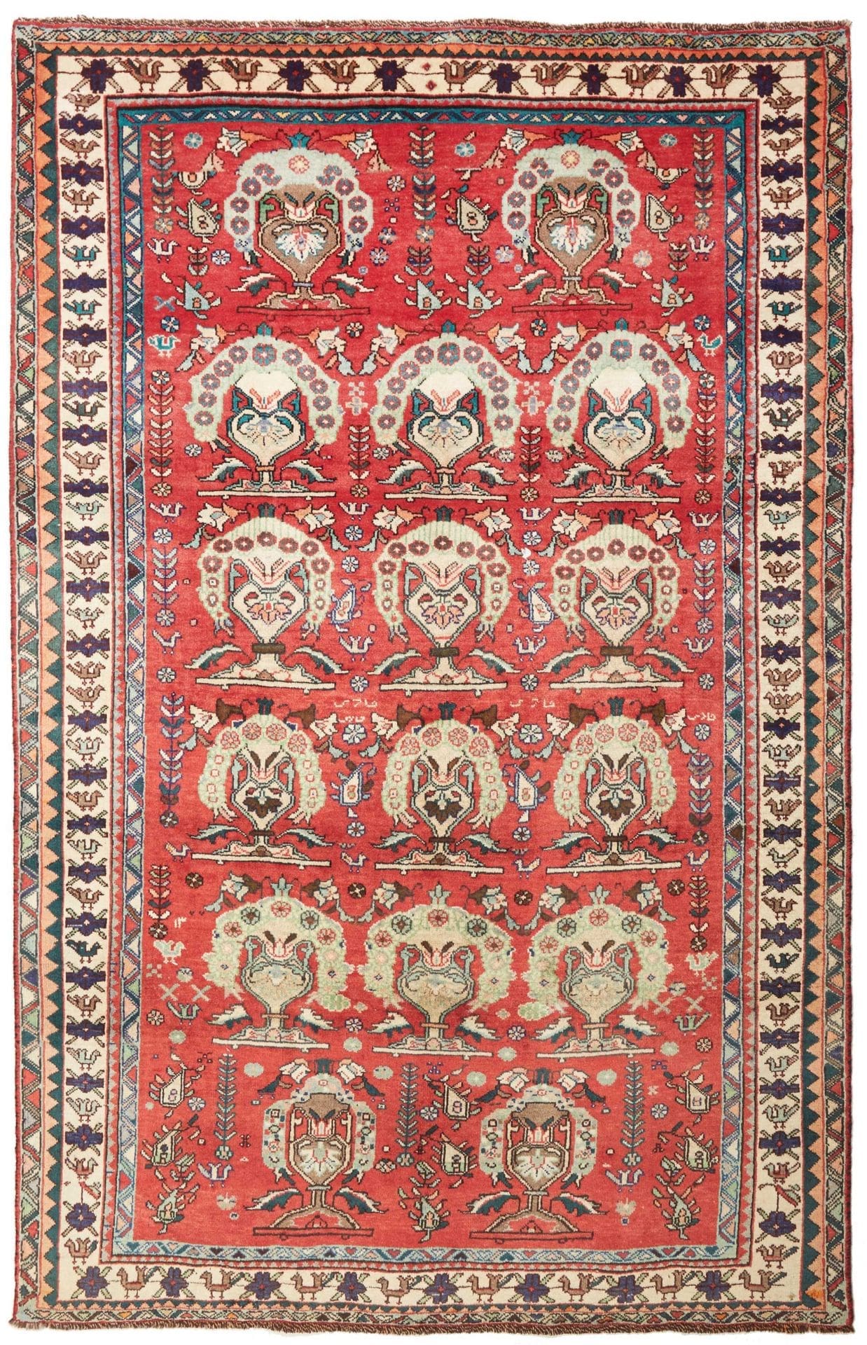 Shiraz Persian Rug 158 × 240 cm in Wool, hand-knotted