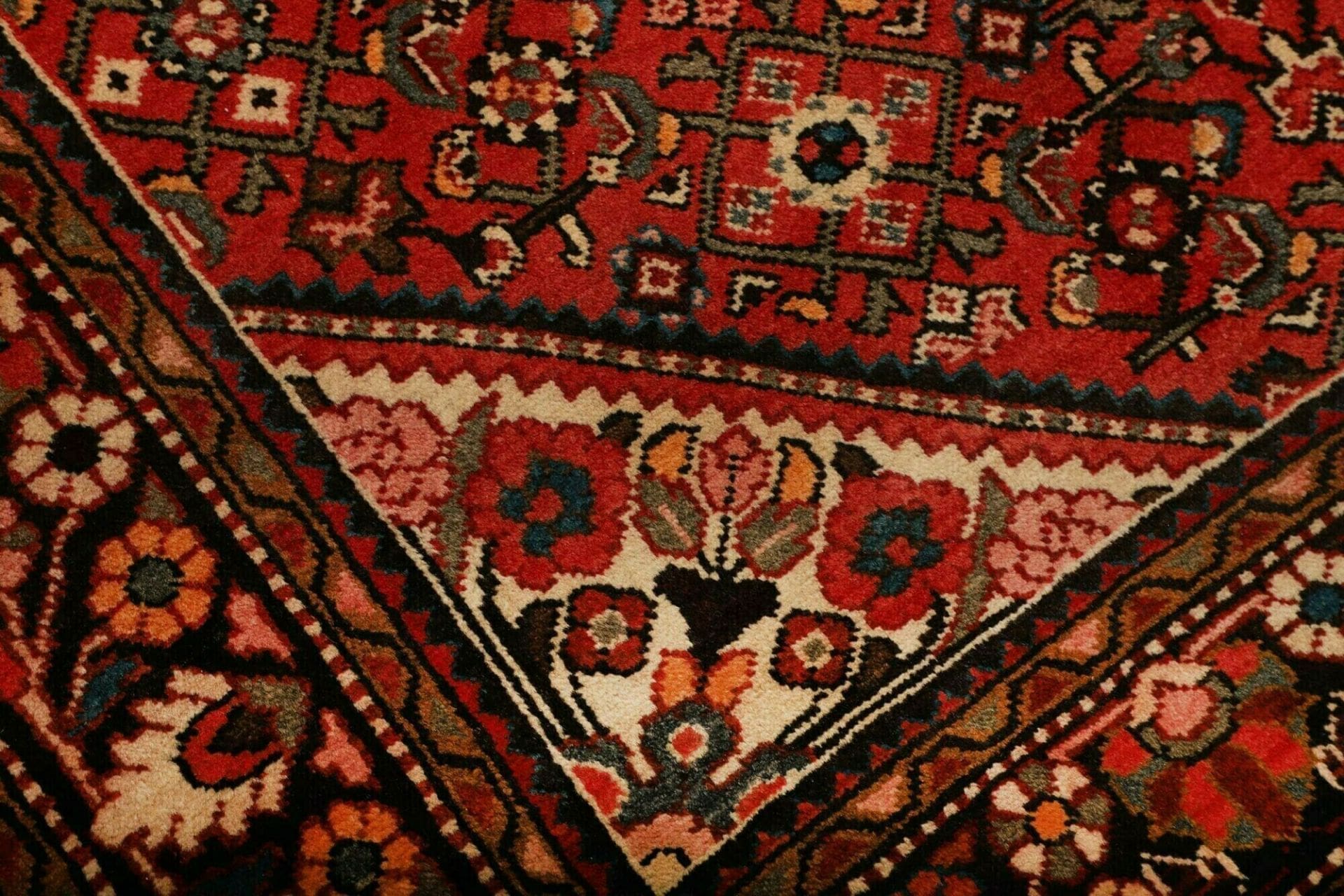 Hamadan Persian Rug 158 × 222 cm in Wool, hand-knotted - Image 6
