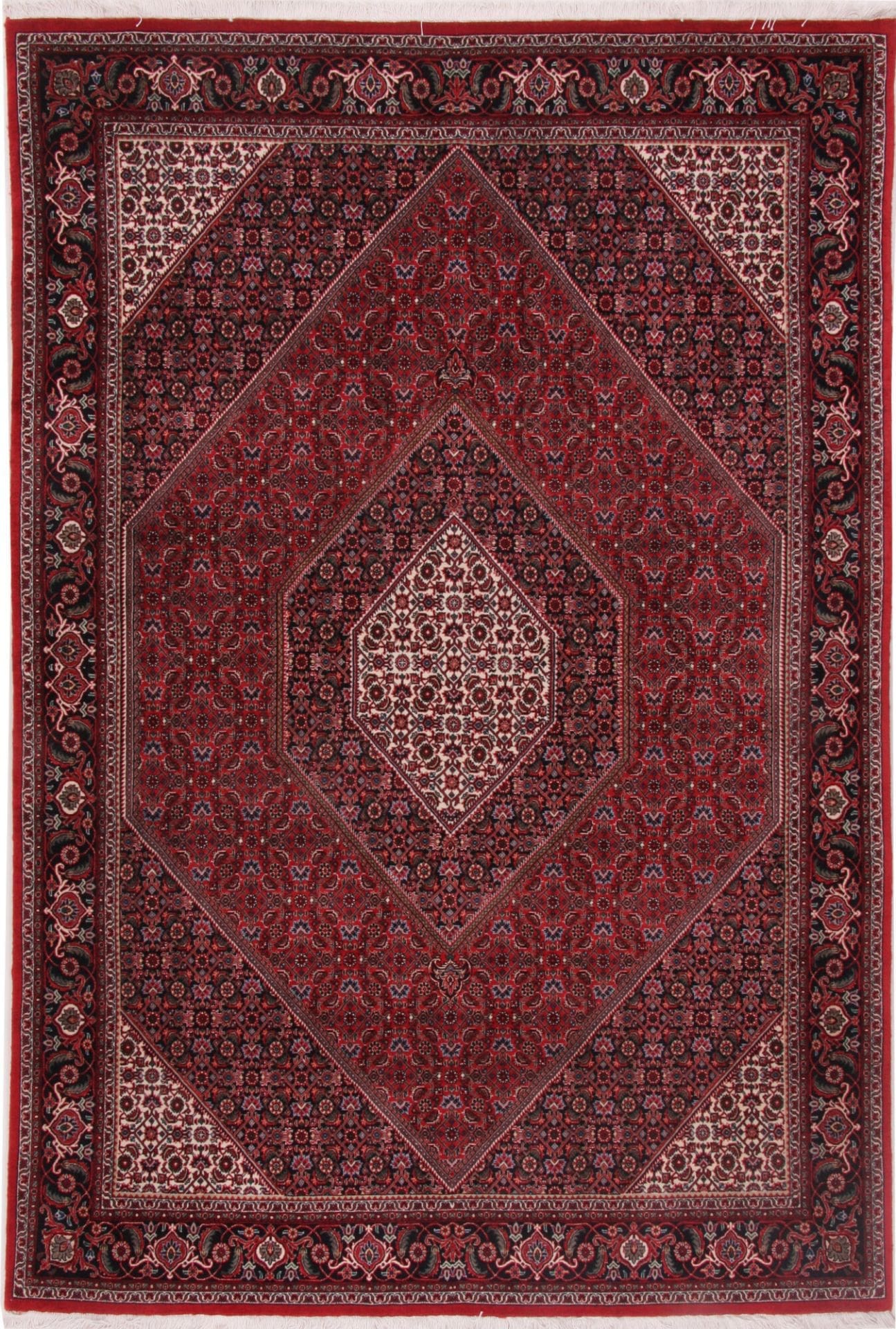 Bijar Persian Rug 171 × 246 cm in Wool, hand-knotted