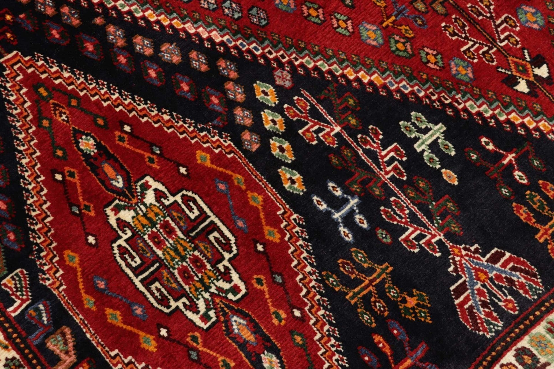 Qashqai Persian Rug 166 × 260 cm in Wool, hand-knotted - Image 6
