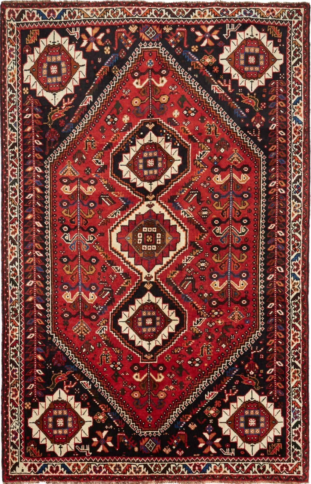 Shiraz Persian Rug 171 × 260 cm in Wool, hand-knotted