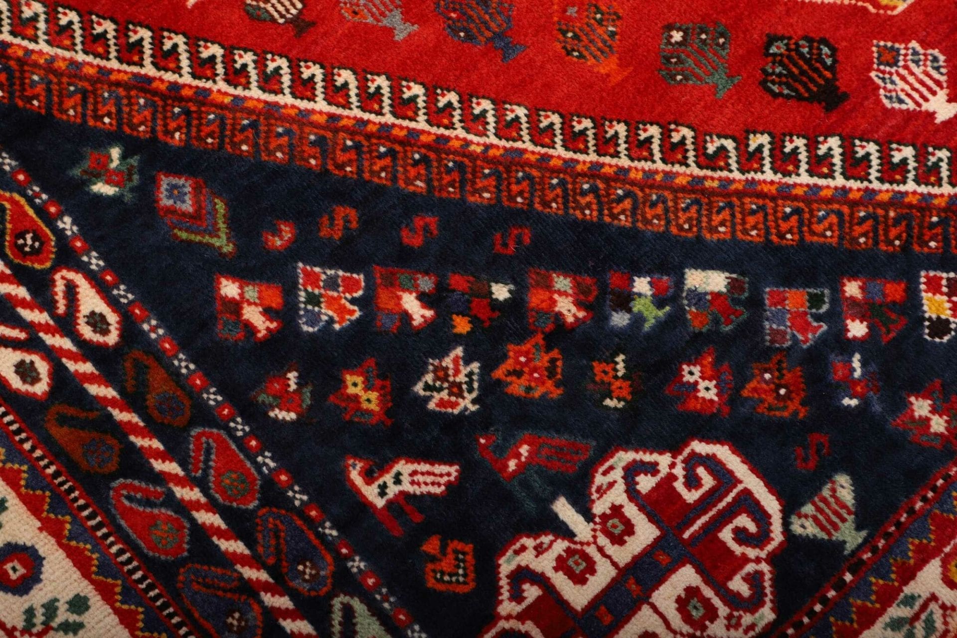 Shiraz Persian Rug 173 × 262 cm in Wool, hand-knotted - Image 6