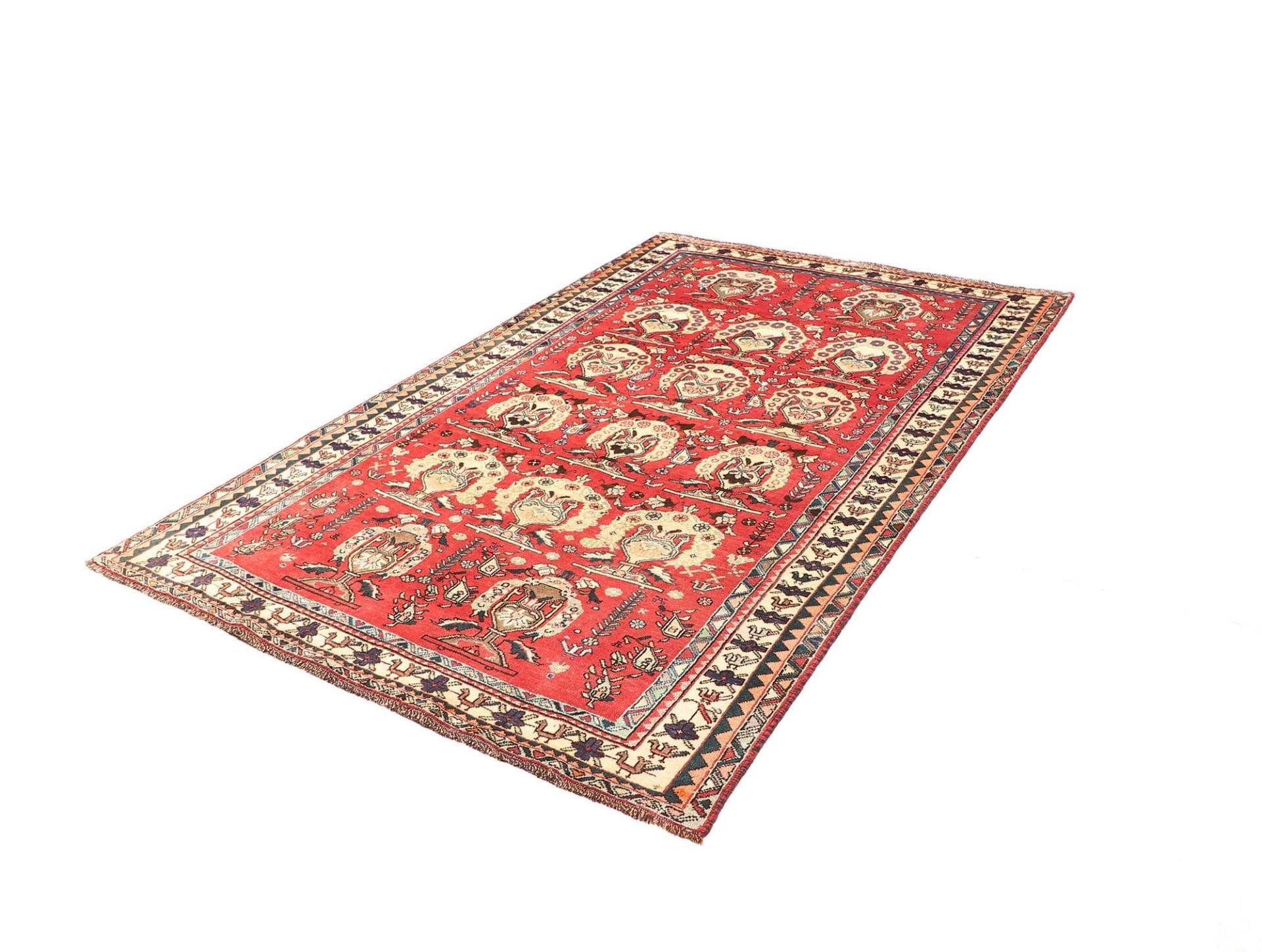 Alternative view of Shiraz Persian Rug 158 × 240 cm in Wool, hand-knotted