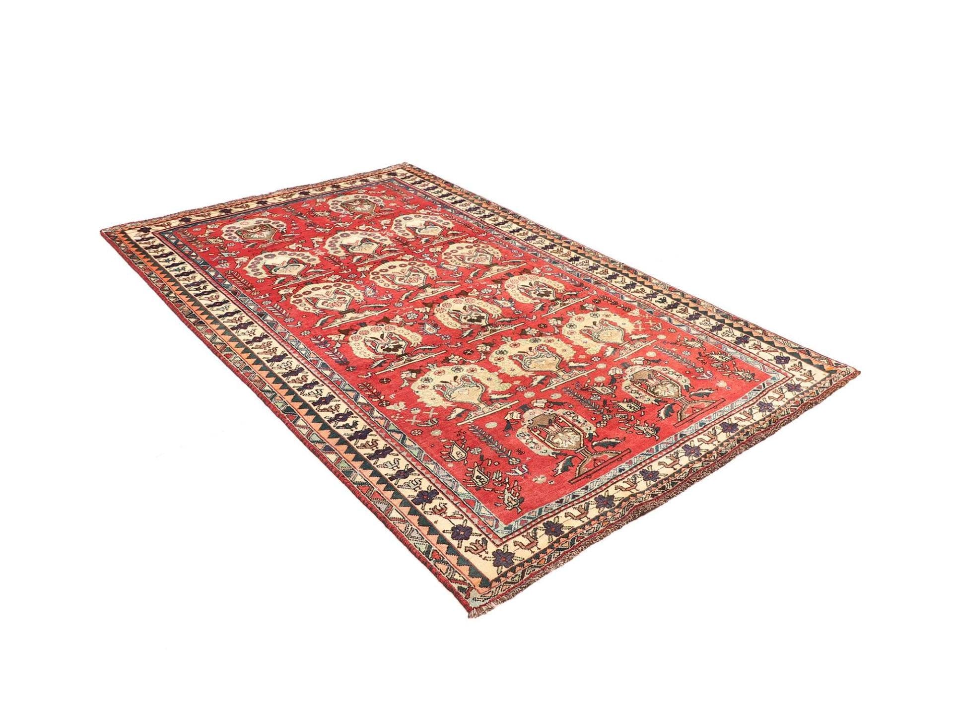 Shiraz Persian Rug 158 × 240 cm in Wool, hand-knotted - Image 3