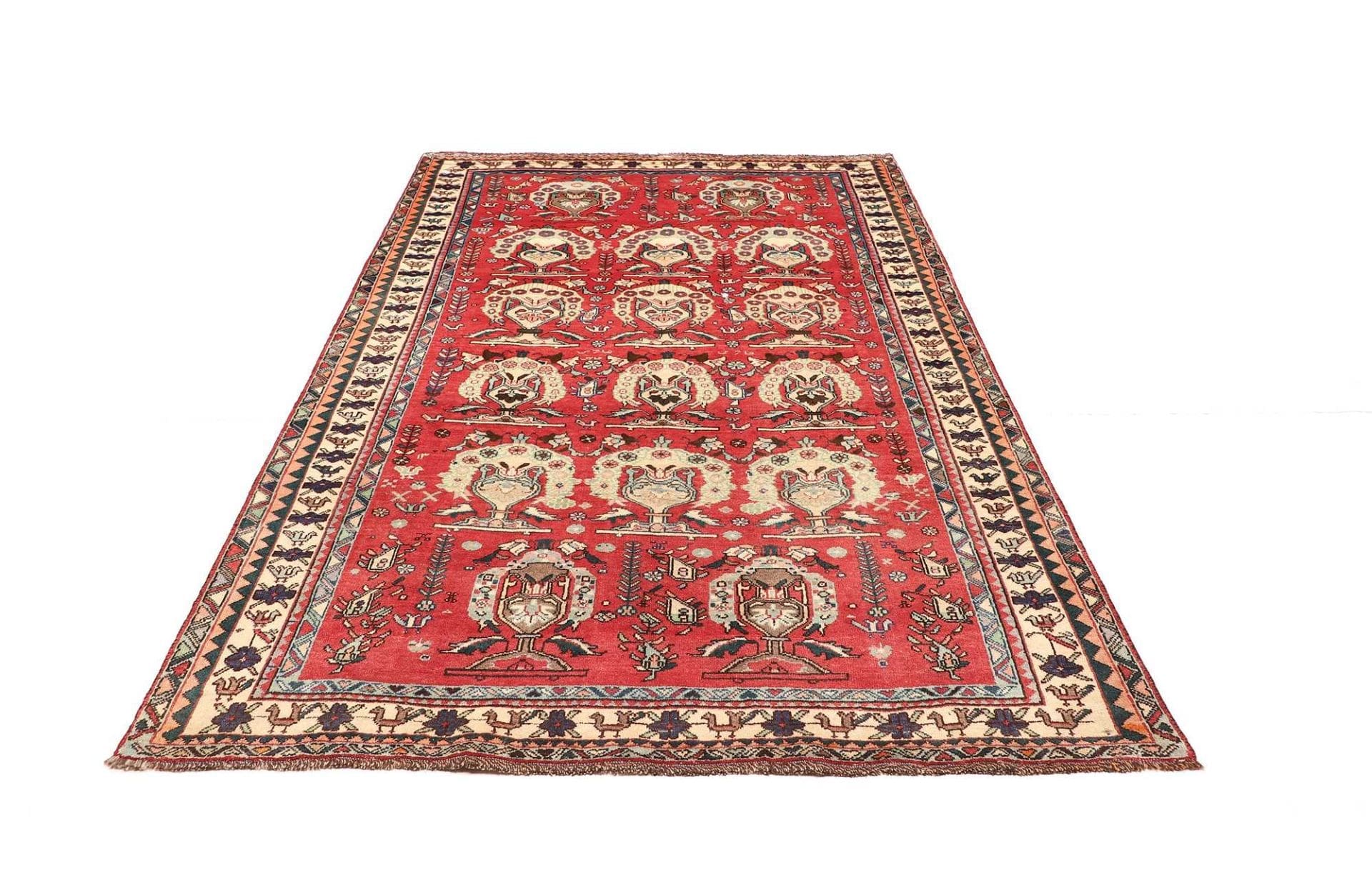 Shiraz Persian Rug 158 × 240 cm in Wool, hand-knotted - Image 4