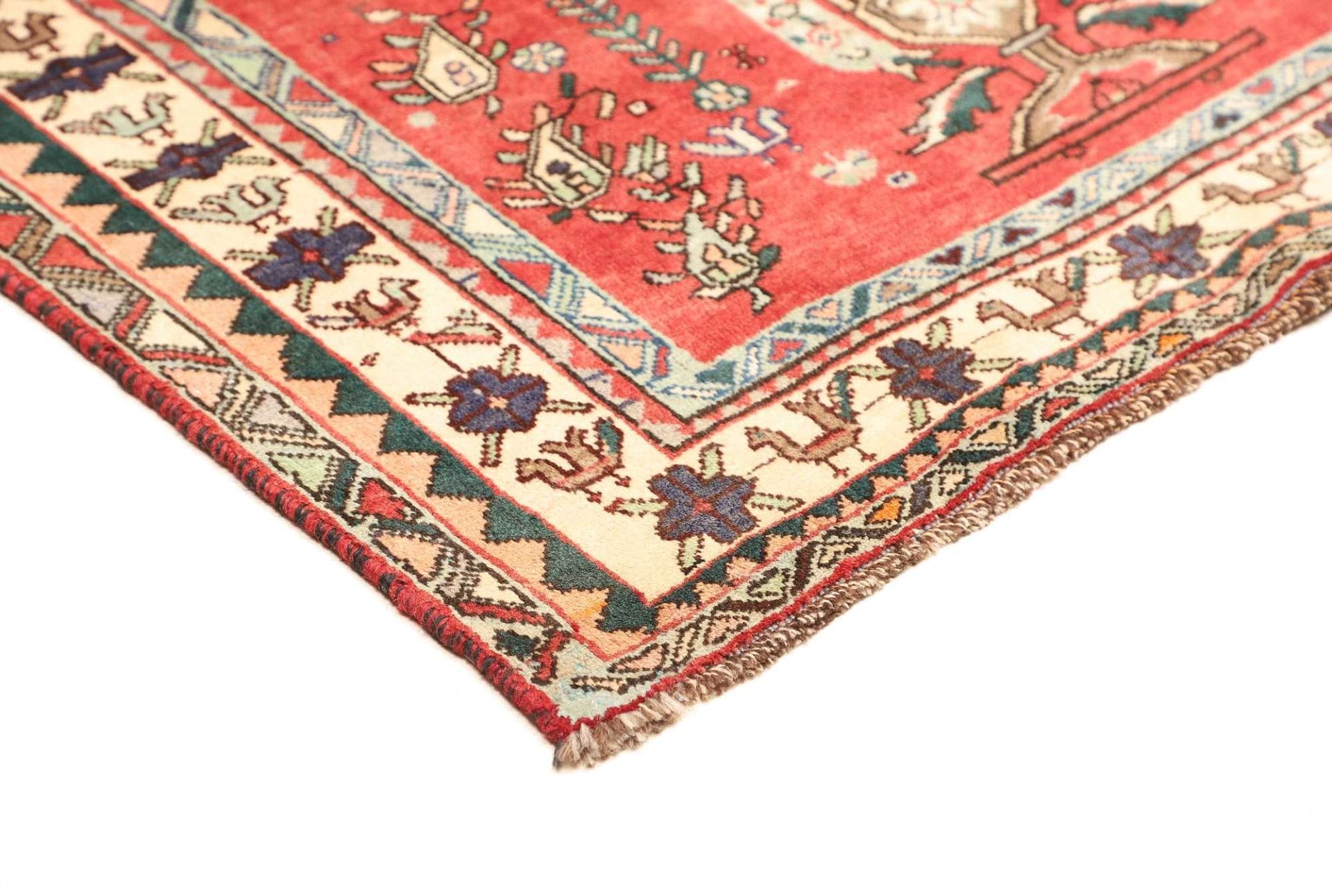 Shiraz Persian Rug 158 × 240 cm in Wool, hand-knotted - Image 5