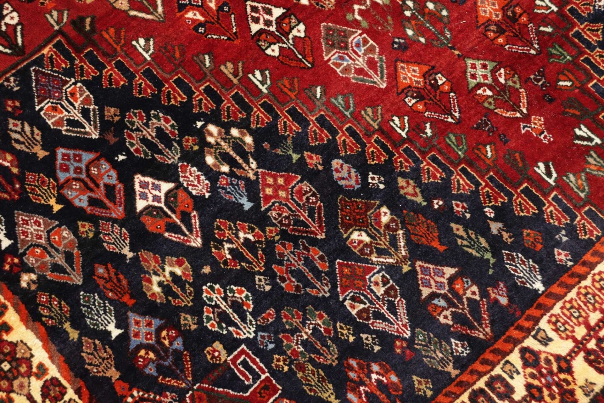 Wool Qashqai Persian Rug 165 × 238 cm, hand-knotted - Image 6