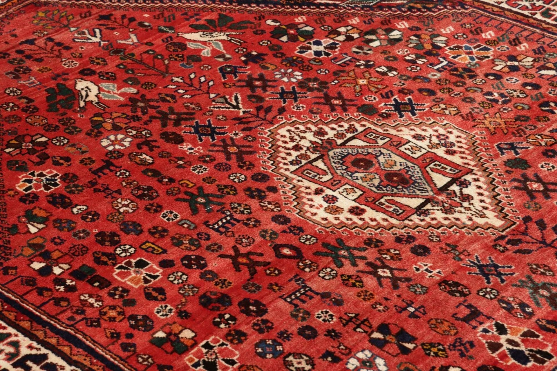 Qashqai Persian Rug 175 × 250 cm in Wool, hand-knotted - Image 7