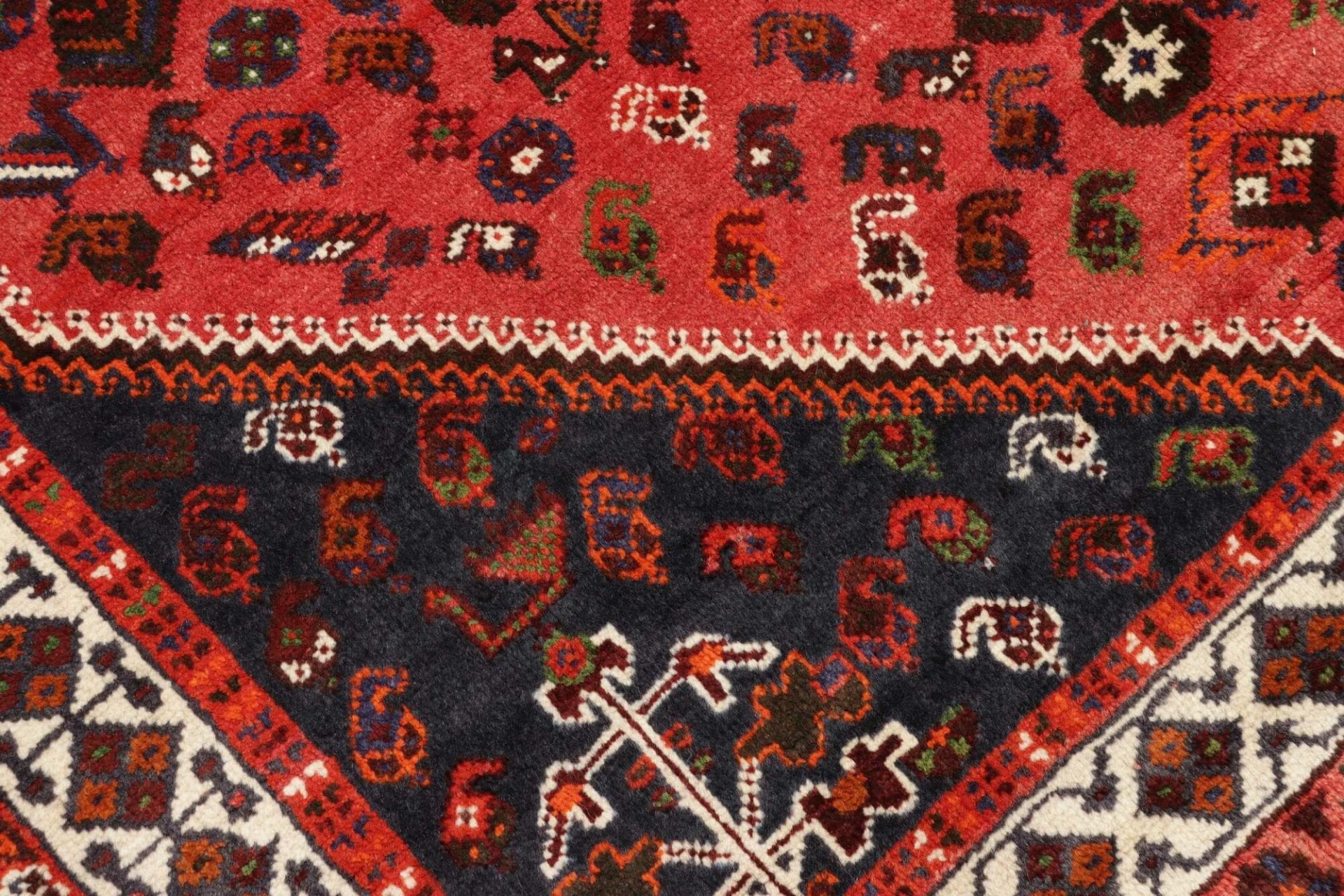 Shiraz Persian Rug 163 × 258 cm in Wool, hand-knotted - Image 6