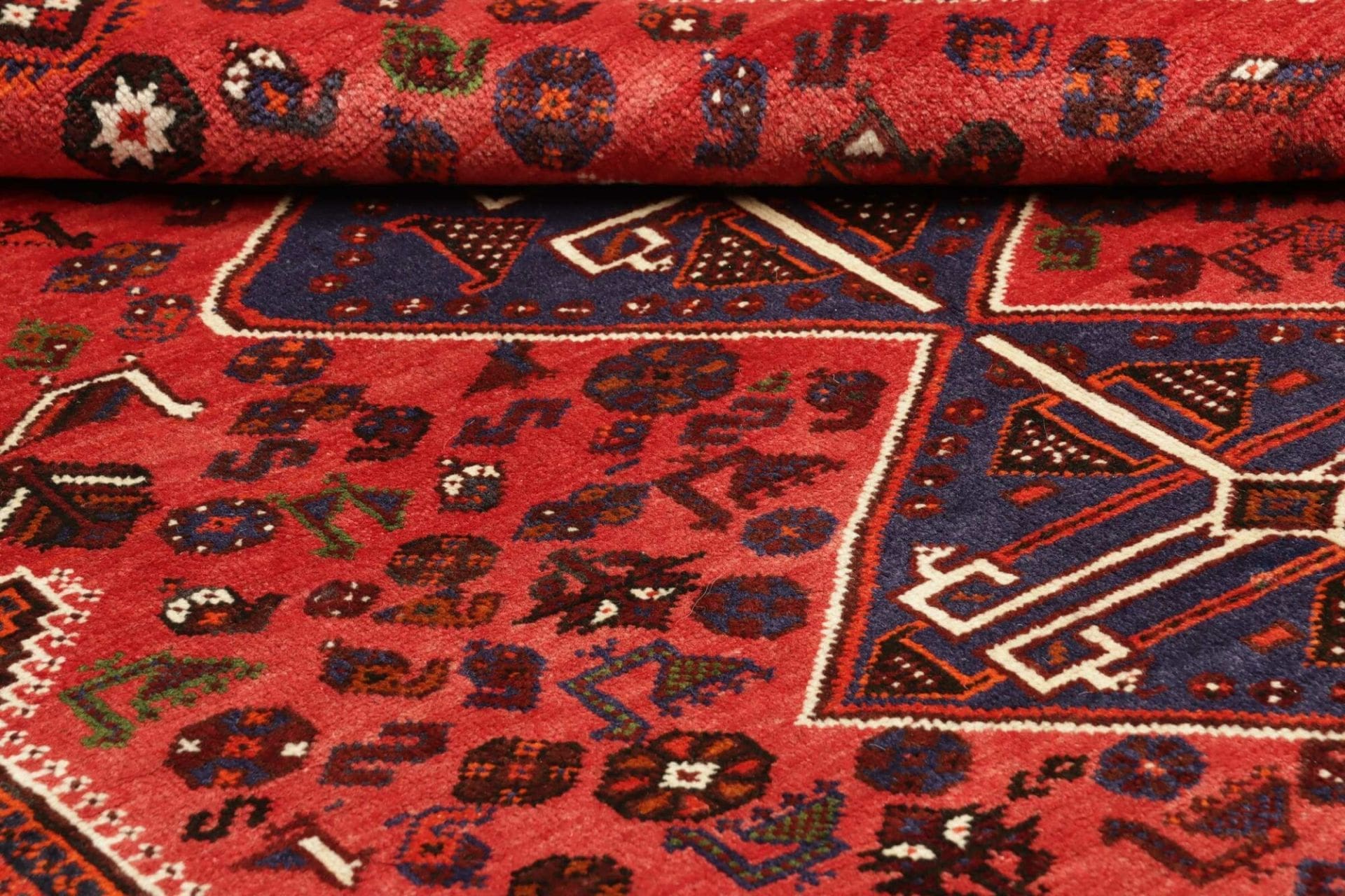 Shiraz Persian Rug 163 × 258 cm in Wool, hand-knotted - Image 10