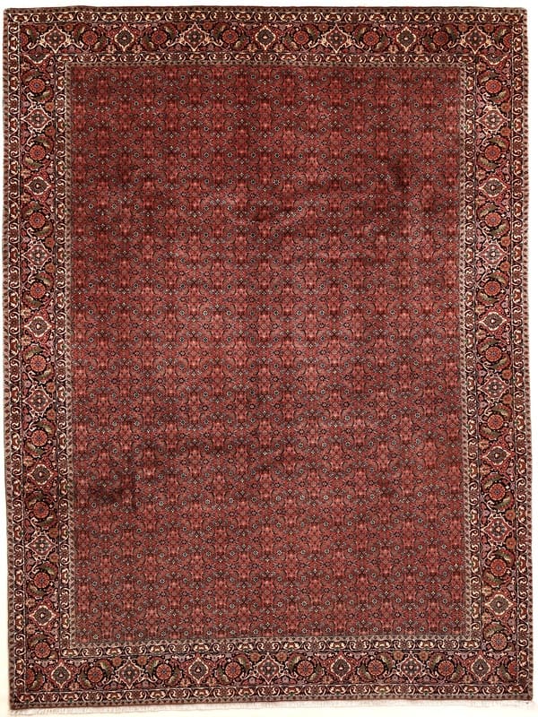 Bijar Persian Rug 335 × 252 cm in Wool & Silk, hand-knotted