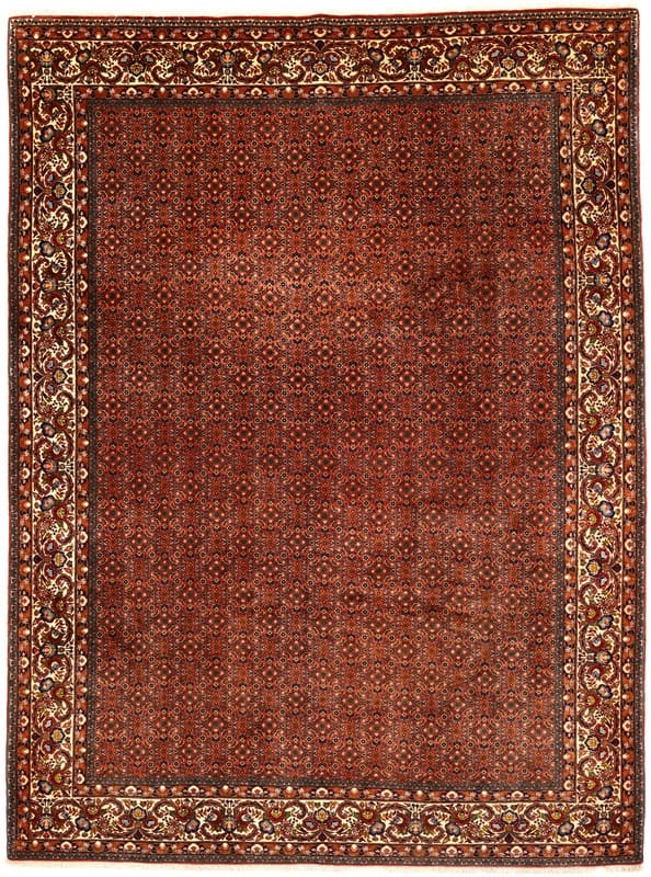 Bijar Persian Rug 343 × 257 cm in Wool, hand-knotted