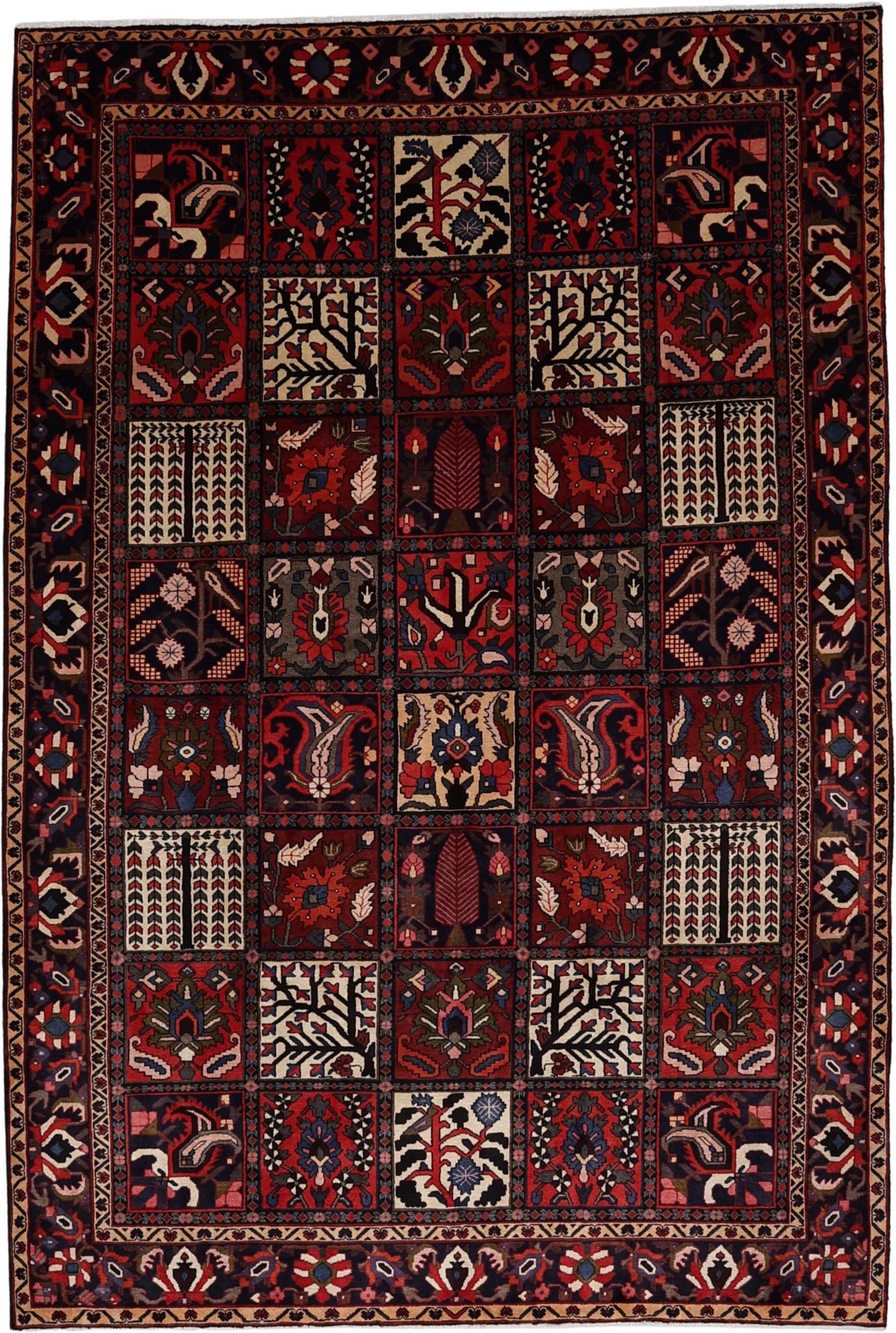Bakhtiari Persian Rug 217 × 317 cm in Wool, hand-knotted
